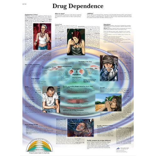 [3B] 약물중독(VR1781)차트/금연금주/약물중독실습모형/인체해부도/인체해부모형/인체모형/-CU메디칼