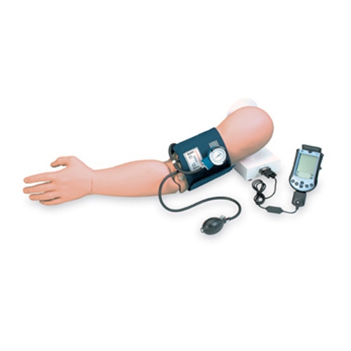 [3B] (W44675)혈압측정모형-팔/검사실습,환자실습,측정실습모형/인체해부도/인체해부모형/인체모형/-CU메디칼