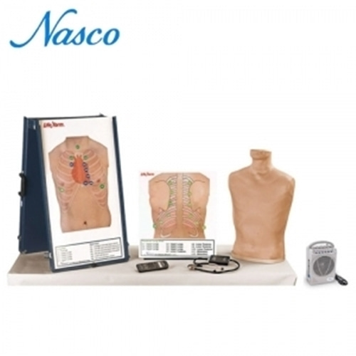 [NASCO] LF01200U(EX) - 심폐음 청진실습모형-CU메디칼